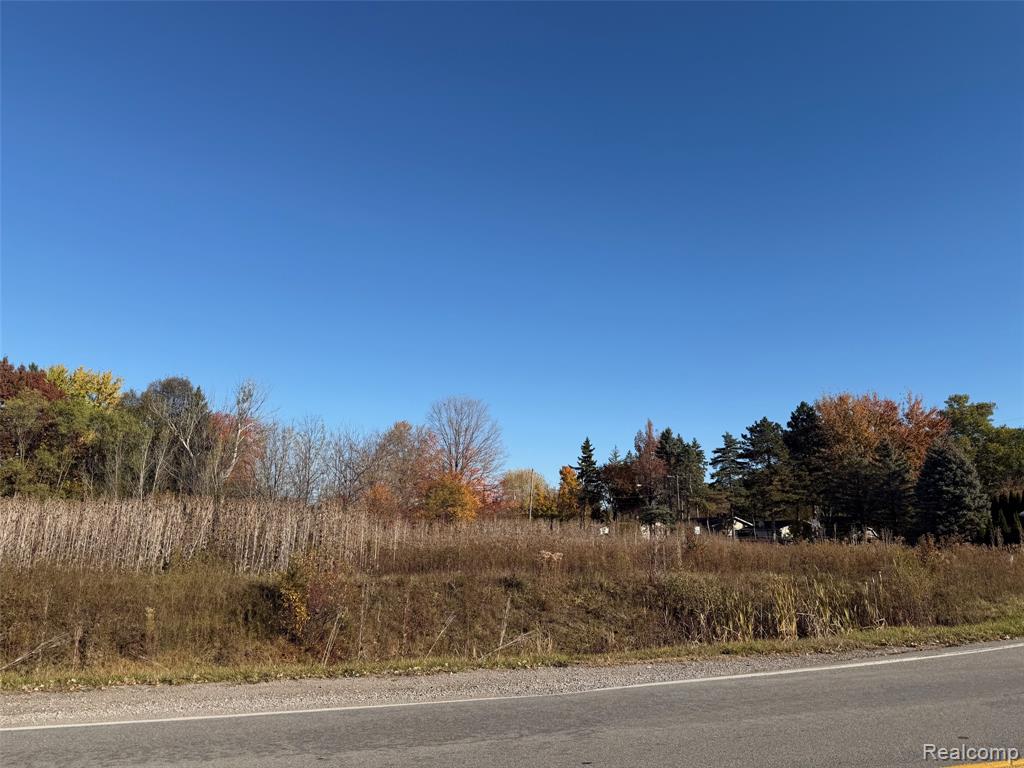 Lot 22 E Hill Road, Grand Blanc, MI 48439 — Photo 3