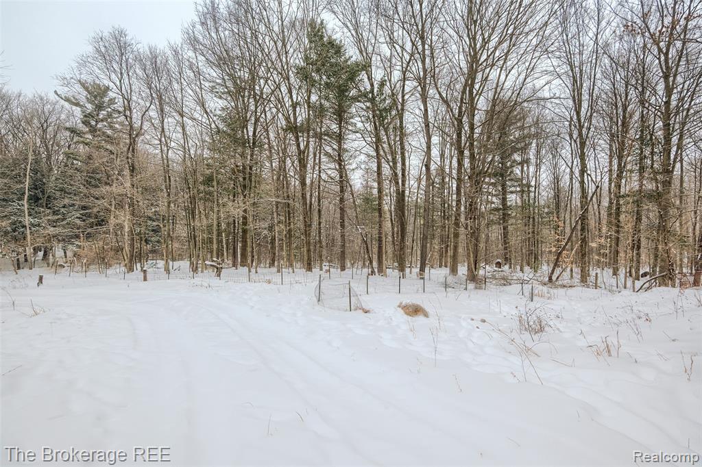 3838 W Burnside Road, Otter Lake, MI 48464 — Photo 8