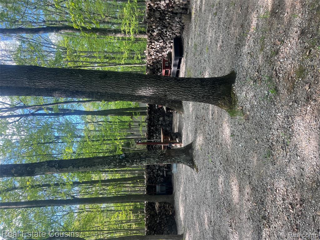 4611 Mockingbird Circle, Farwell, MI 48622 — Photo 10