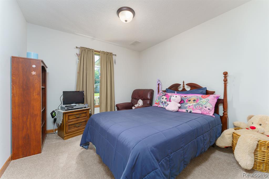 102 MELLADEE Lane, Morrice, MI 48857 — Photo 17