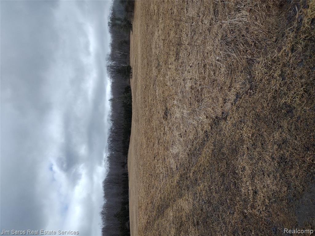 4771 E County Line Road, South Branch, MI 48761 — Photo 11