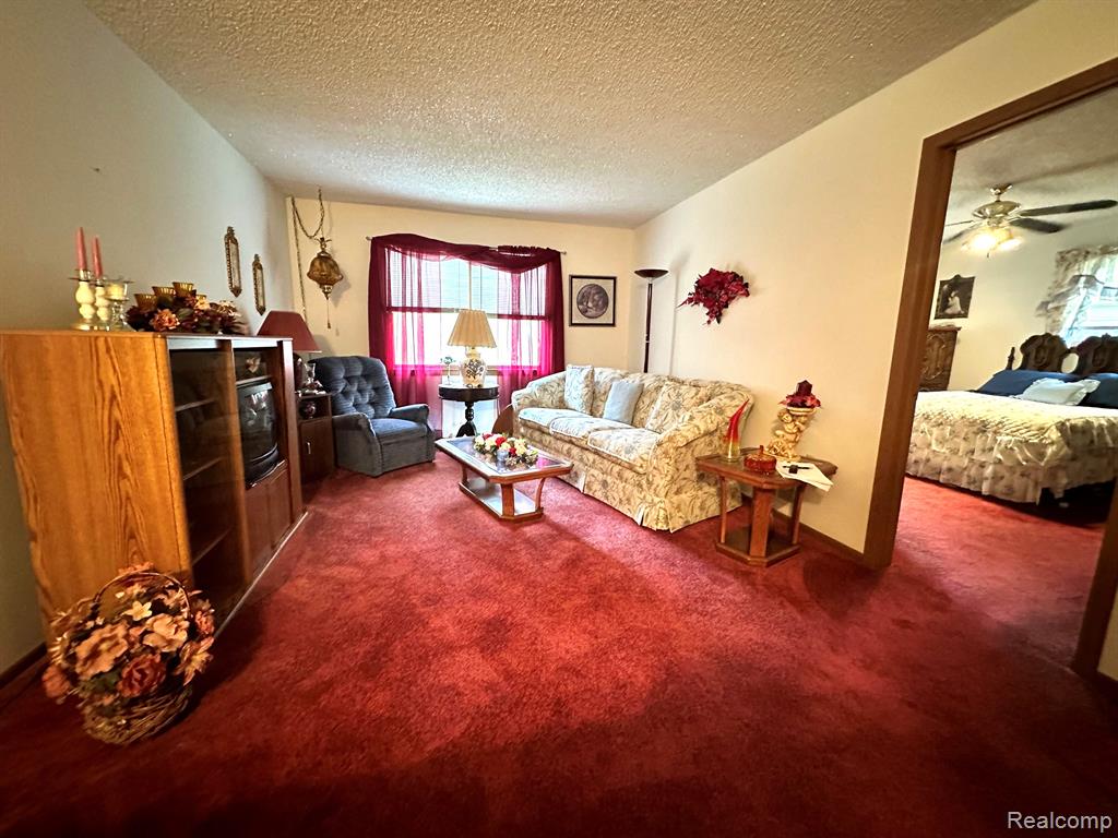 6111 5TH Street, Mayville Vlg, MI 48744 — Photo 22