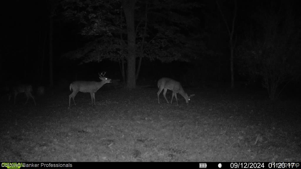 VL Rattle Run Road, St. Clair, MI 48079 — Photo 34