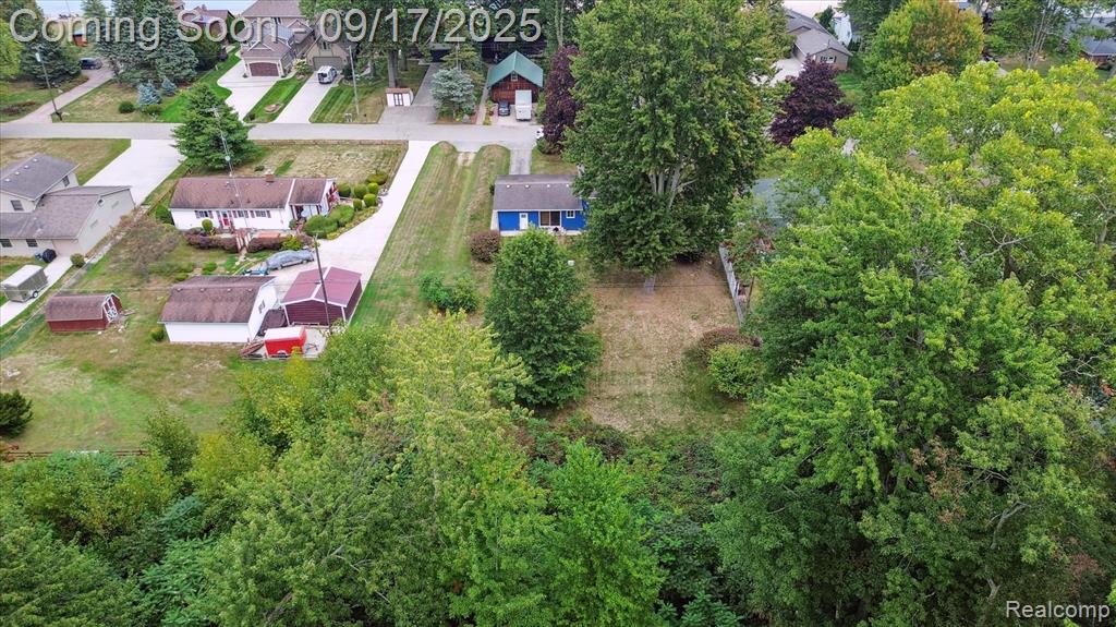 6185 Wildrose Lane, Burtchville, MI 48059 — Photo 30
