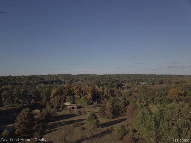 12749 Shaffer Road, Davisburg, MI 48350 — Photo 77