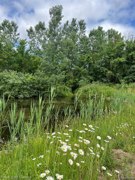 5440 Lobdell Road, Fenton, MI 48430 — Photo 4