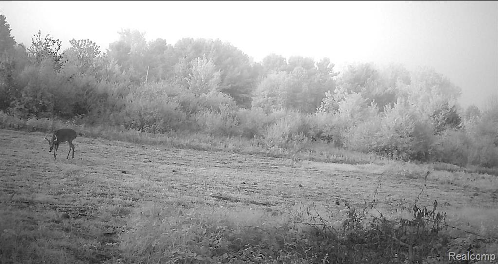 VACANT LAND S. PLAIN Road, Caro, MI 48723 — Photo 17
