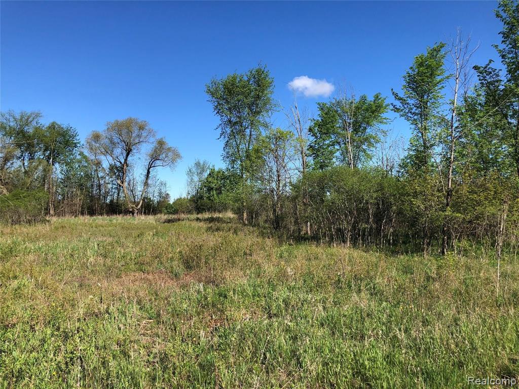 Parcel E GRAHAM Road, Imlay City, MI 48444 — front exterior