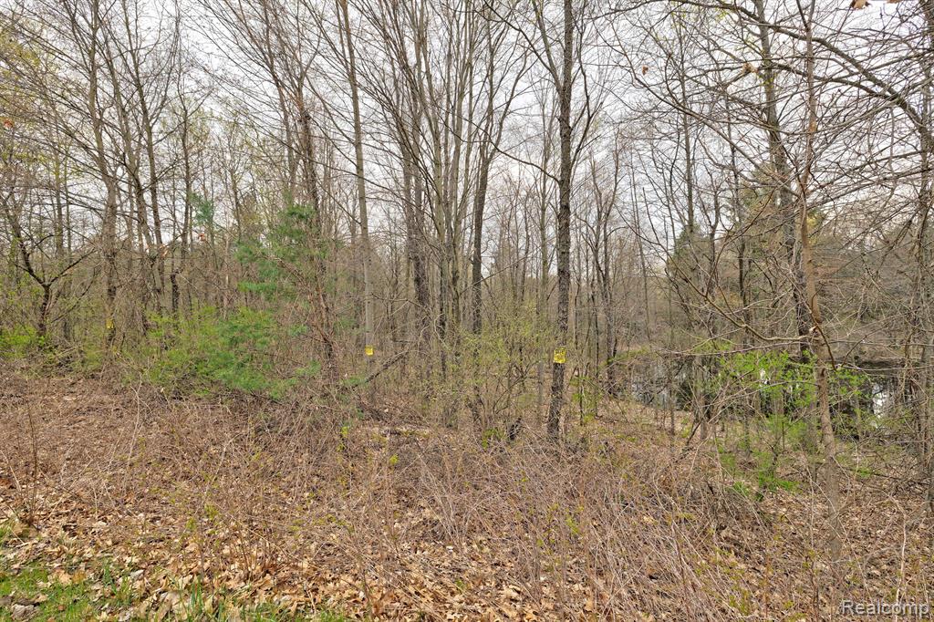 311 DOGWOOD Lane, Ortonville, MI 48462 — Photo 25