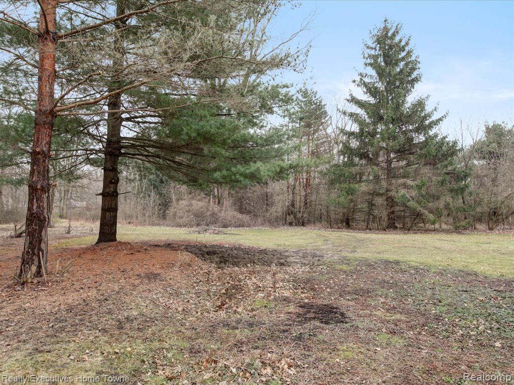 4551 ATKINS Road, Clyde, MI 48049 — Photo 25