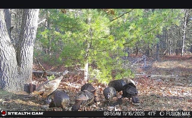 VL W AuSable Point Road, Oscoda, MI 48750 — Photo 19