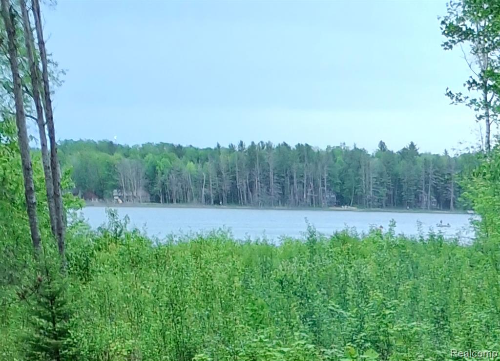 Lot 101 BREEZEWOOD Drive, Mancelona, MI 49659 — Photo 2