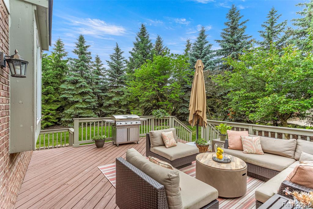 17303 Black Pine Drive, Northville, MI 48168 — Photo 47