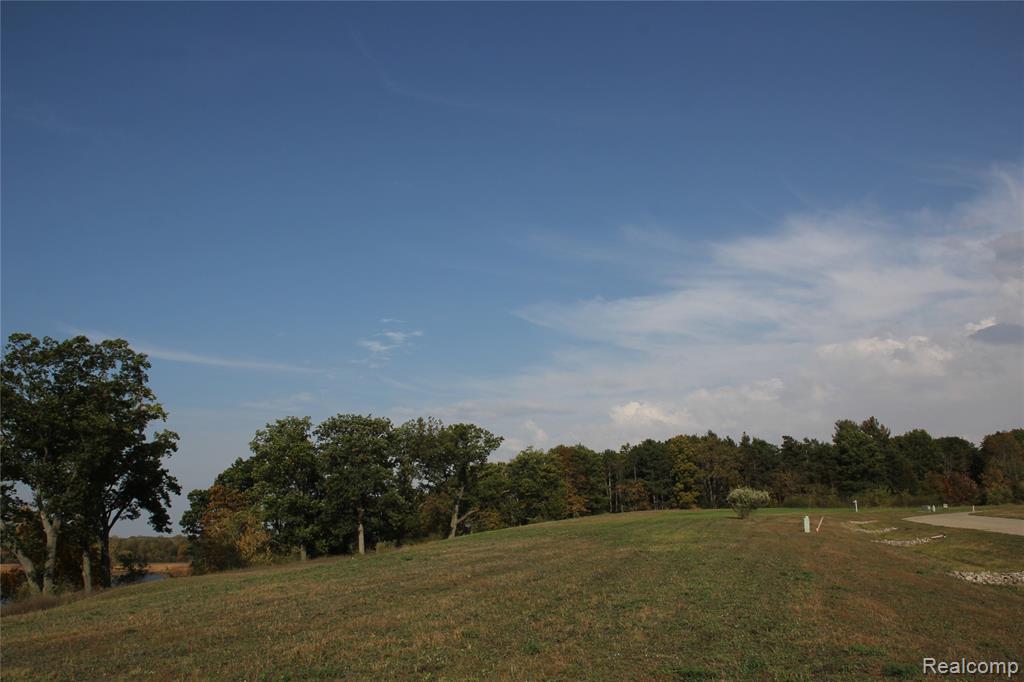 123 BLOOMFIELD LOT#39 Boulevard, Brooklyn, MI 49230 — Photo 9