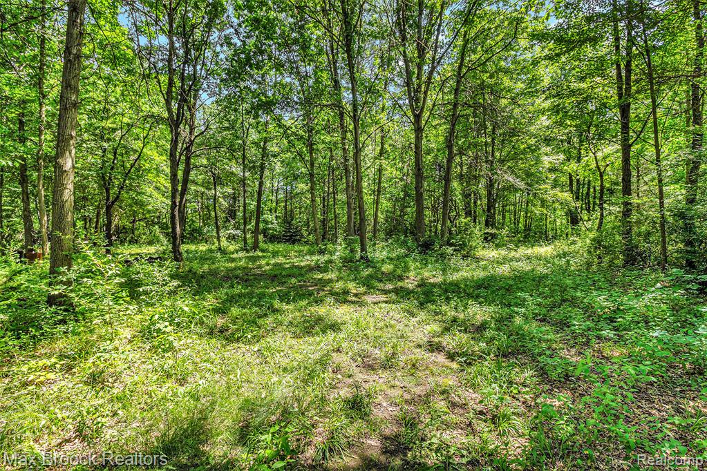 7132 N Oak Road, Davison, MI 48423 — Photo 2