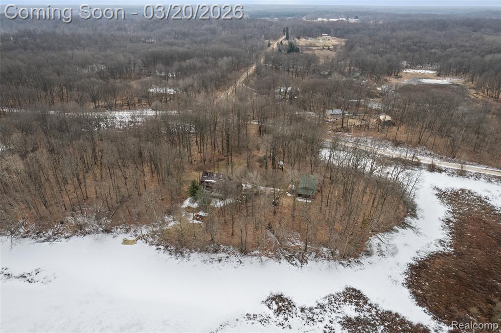 7207 Gurd Road, Hastings, MI 49058 — Photo 36