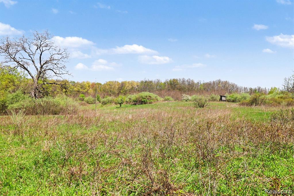 Parcel #3 Milford Rd, Holly, MI 48442 — Photo 10