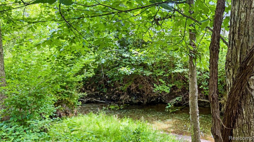 Vacant Lot- Judson Rd-Judson Park Sub, Rochester Hills, MI 48306 — Photo 21