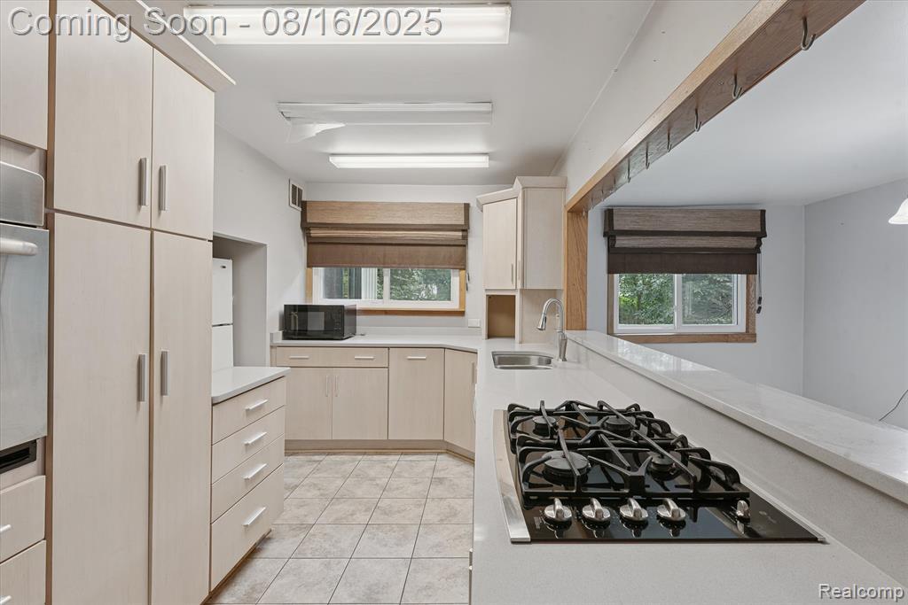 4539 N 5th Street, Luna Pier, MI 48157 — Photo 14