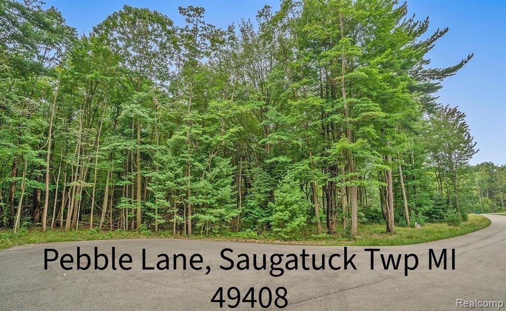 VL Pebble Lane, Fennville, MI 49408 — front exterior
