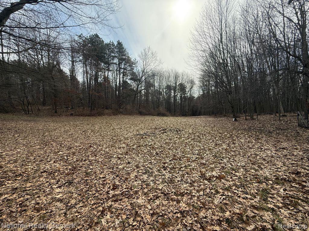 4848 GENERAL SQUIER Road, Dryden, MI 48428 — Photo 30