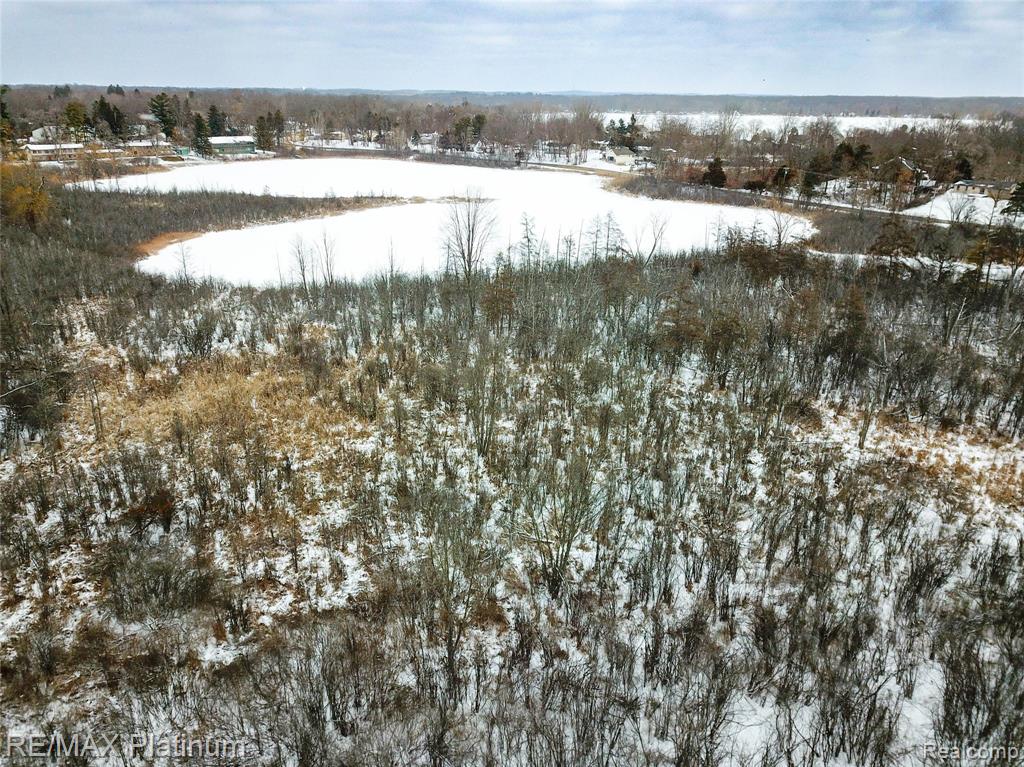 8868 Solitude Drive, Brighton, MI 48116 — Photo 49