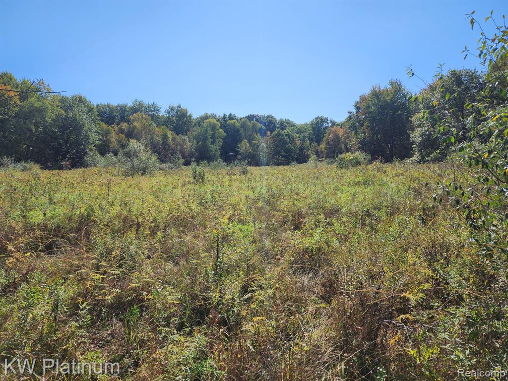 8060 Brockway Road, Melvin, MI 48454 — Photo 33