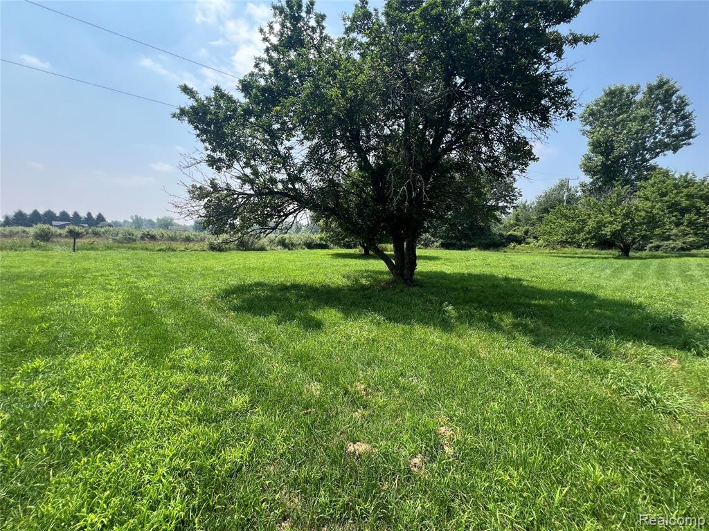 6197 Sober Road, Fowlerville, MI 48836 — Photo 16
