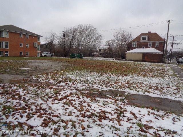 3200 W BOSTON Boulevard, Detroit, MI 48206 — Photo 4