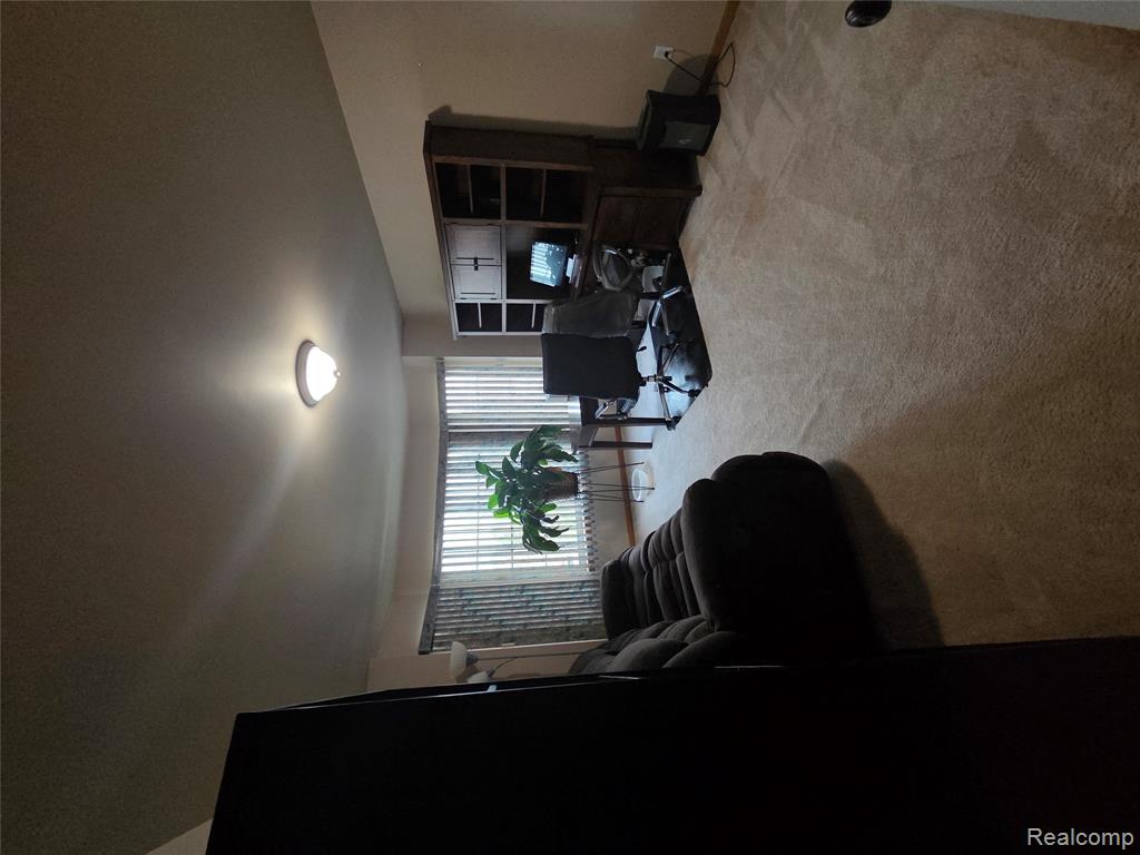 26940 Cedar Run Court, Woodhaven, MI 48183 — Photo 22