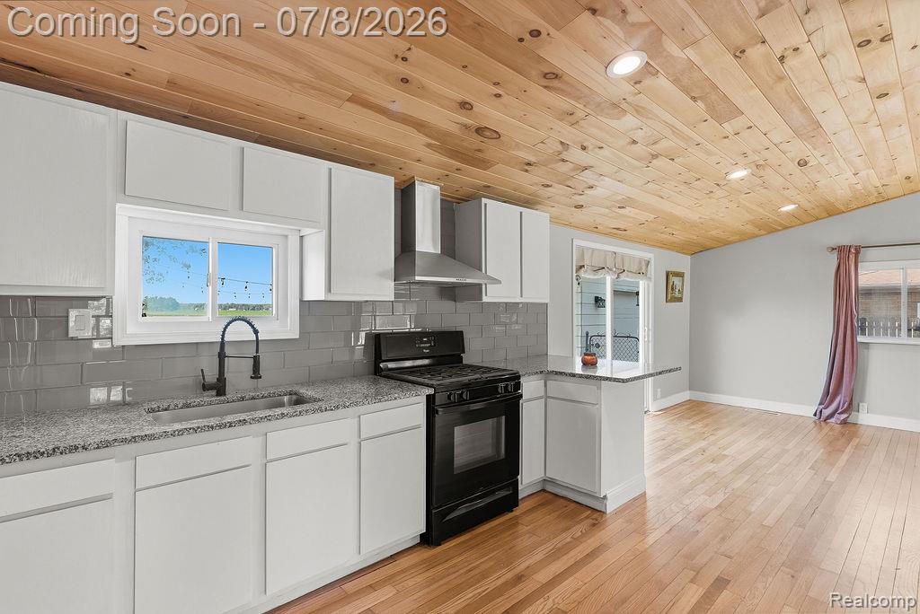 5698 McGrandy Road, Bridgeport, MI 48722 — Photo 15