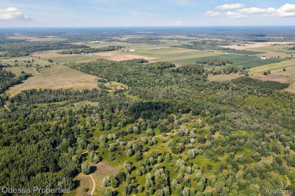 7440 Miller Rd, Whittemore, MI 48770 — Photo 46