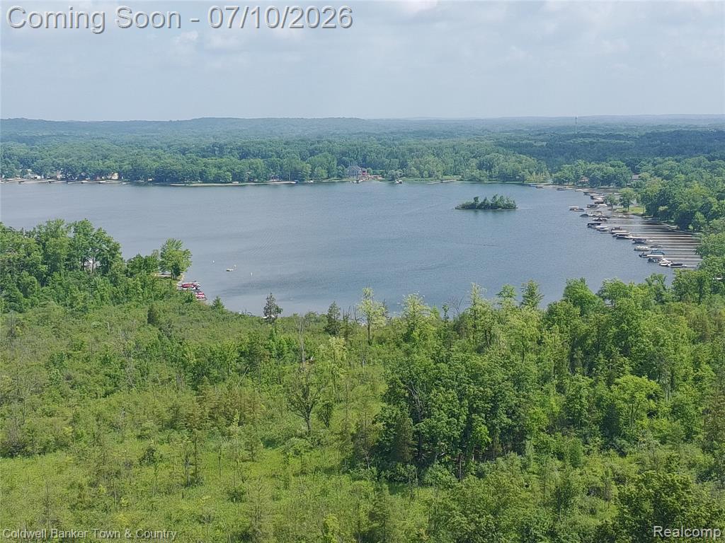 5211 Strawberry Lake Road, Whitmore Lake, MI 48189 — Photo 48