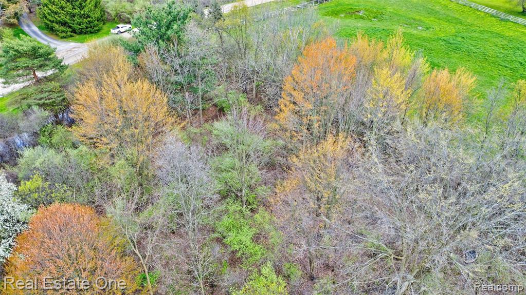 590 Judi Ann Lane, Holly, MI 48442 — Photo 17