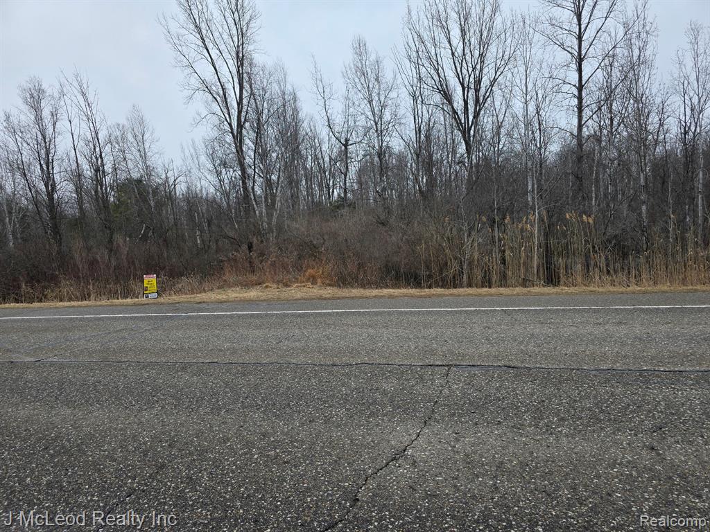 4900 W Saginaw Road, Vassar, MI 48768 — Photo 27