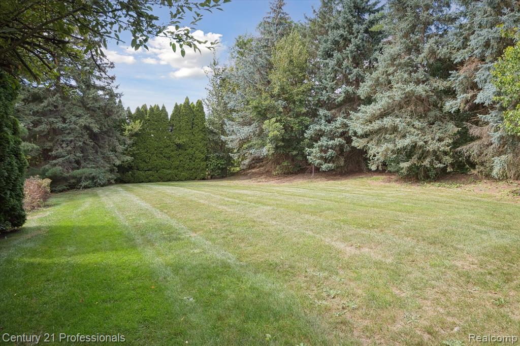 46328 N Northvalley Drive, Northville, MI 48167 — Photo 4