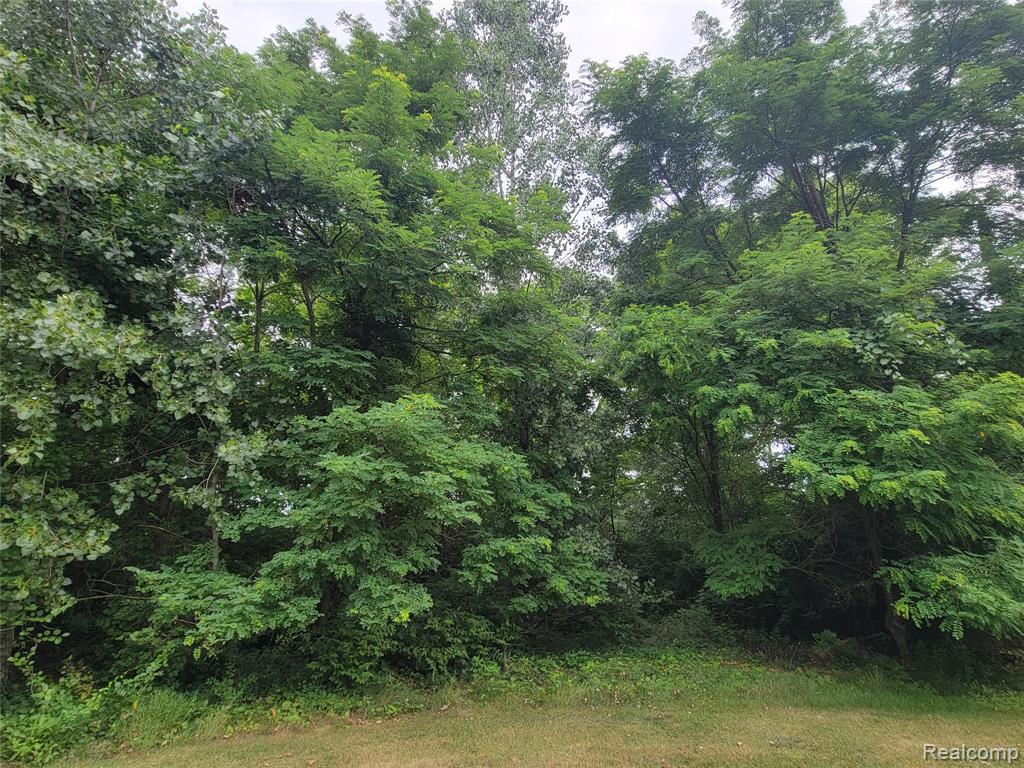 Lot 21 - Rexford Court
