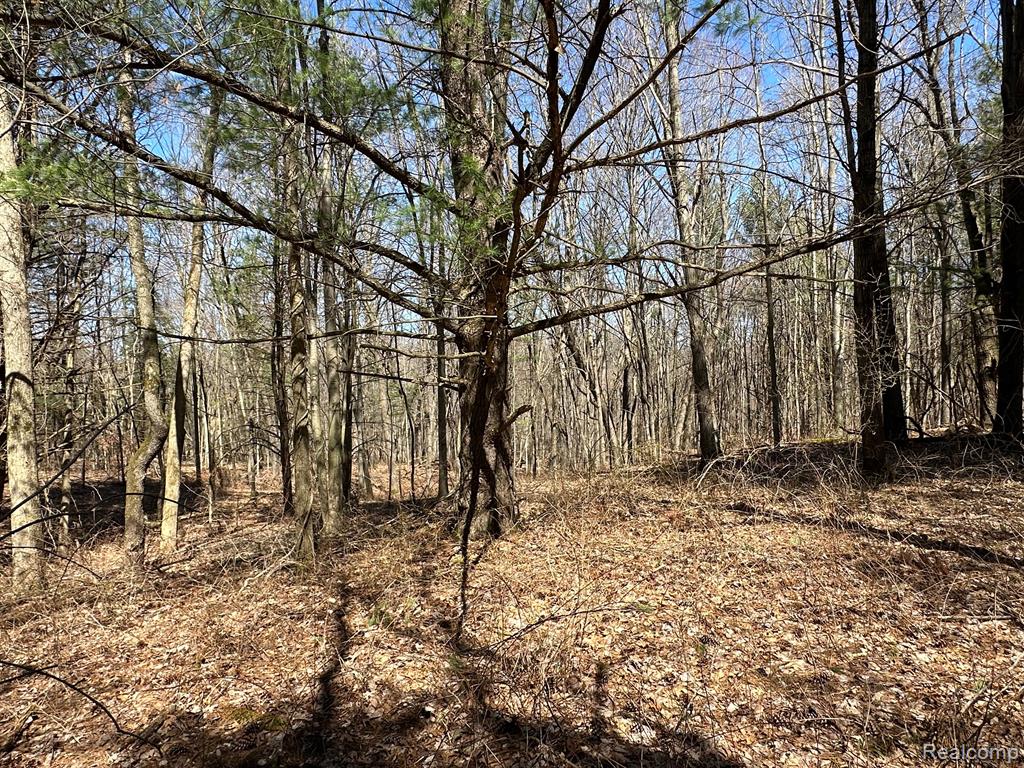 4.23 Acres VL - KNIGHTS BRIDGE Road, Leonard, MI 48367 — Photo 17