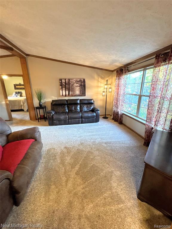 11197 Bigelow Road, Davisburg, MI 48350 — Photo 23