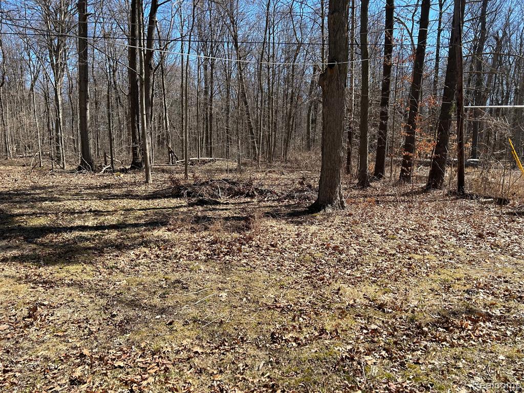 50110 CEDARGROVE Road, Shelby Twp, MI 48317 — Photo 24