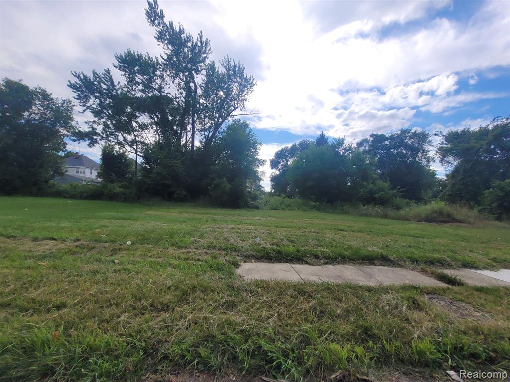 3443 BEALS Street, Detroit, MI 48214 — Photo 9