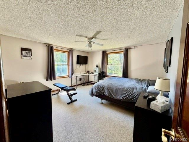 6087 Cyclone Road, Otter Lake, MI 48464 — Photo 19