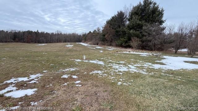 830 W. Burnside, Fostoria, MI 48435 — Photo 35