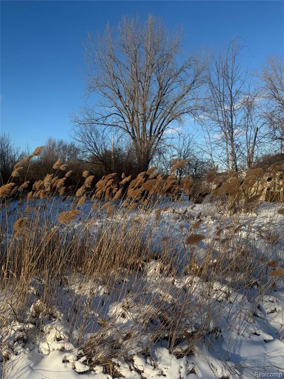 Sublot 41 Charles, Clinton Twp, MI 48035 — Photo 2