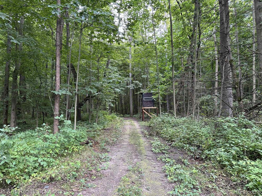 6318 Clear Lake Road, Imlay City, MI 48444 — Photo 69