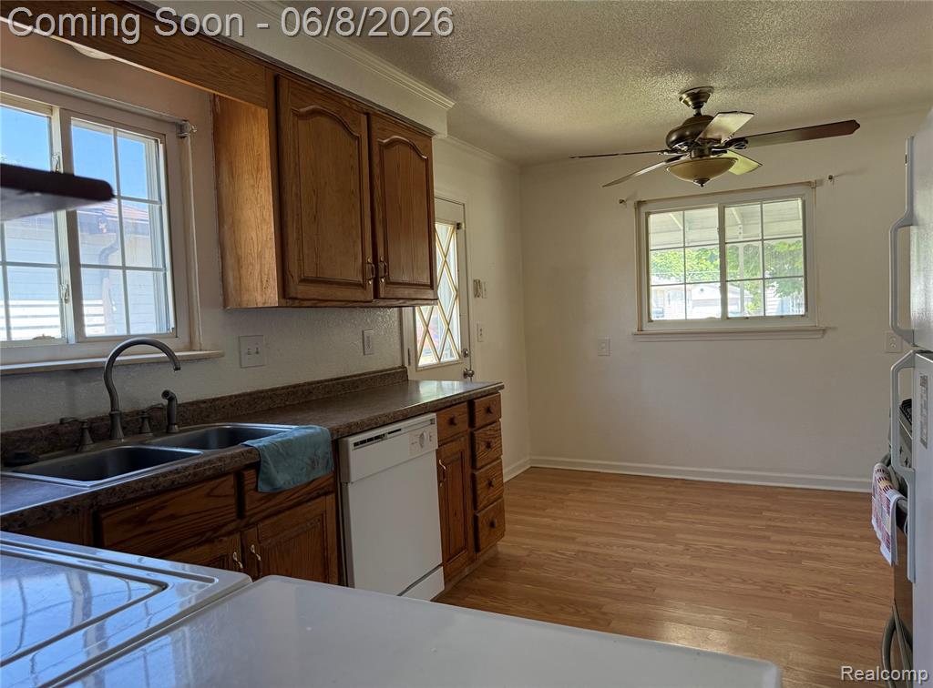 4810 CAMPBELL Street, Dearborn Heights, MI 48125 — Photo 8