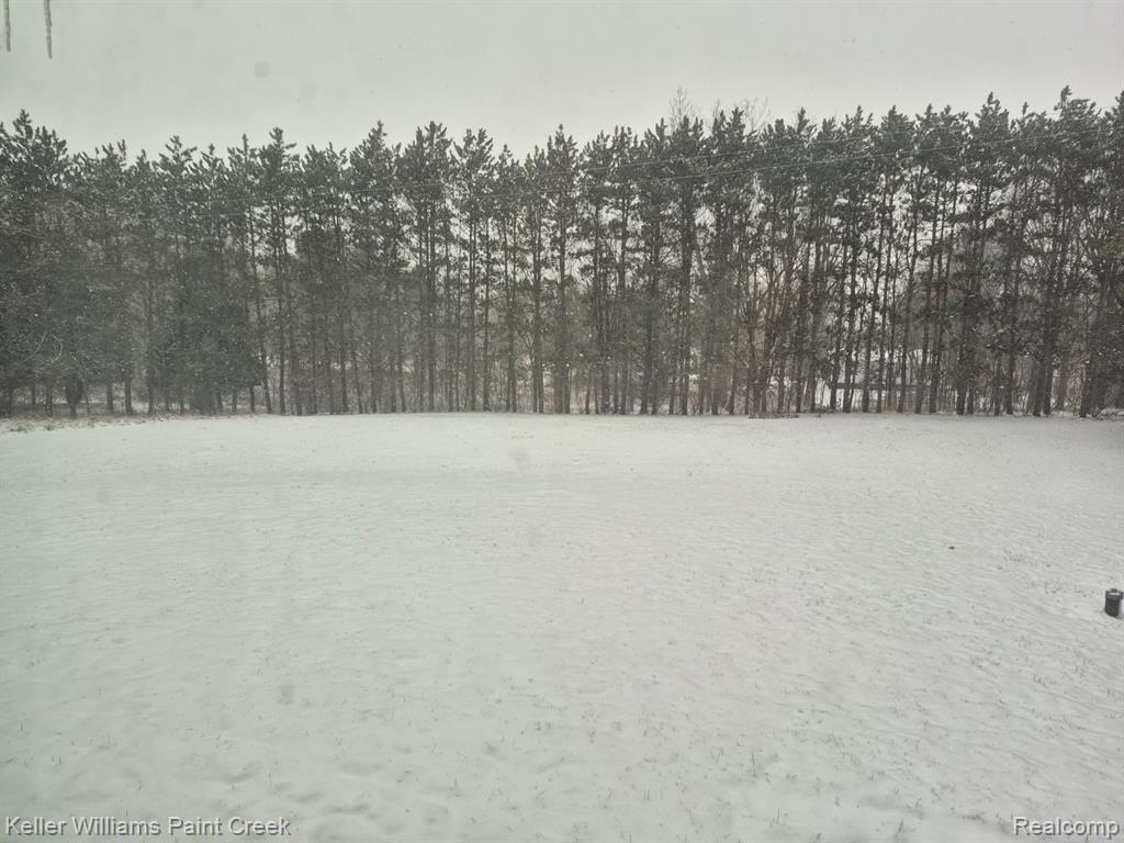 6373 Hall Road, Dryden, MI 48428 — Photo 12