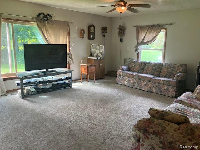 8084 JORDAN Road, Yale, MI 48097 — Photo 9