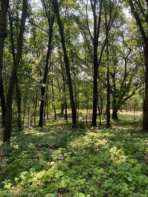 7 Sleaford-Parcel 7 - 2 Acres Road, Howell, MI 48843 — Photo 19