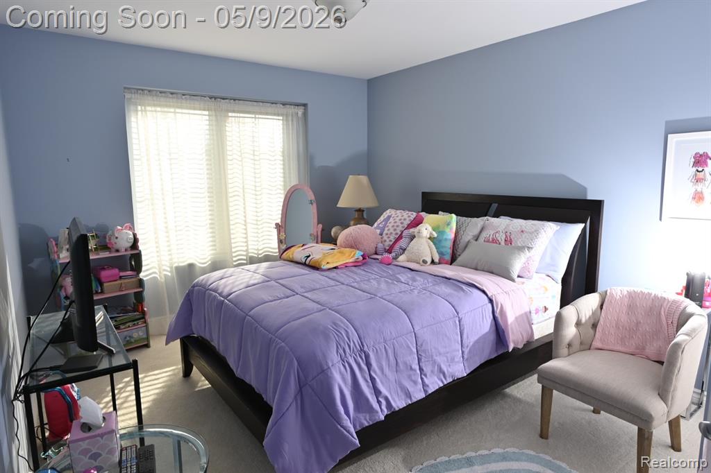 19205 River Valley Drive, Macomb, MI 48044 — Photo 34